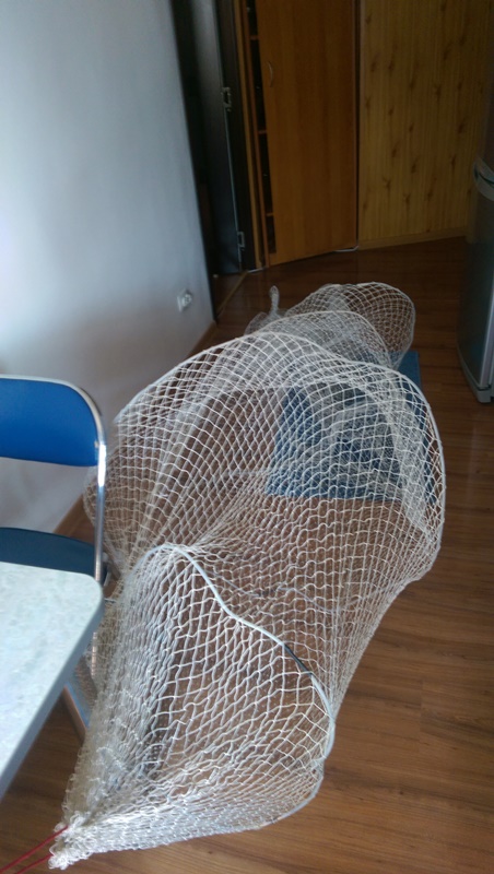 IMAG0263.jpg