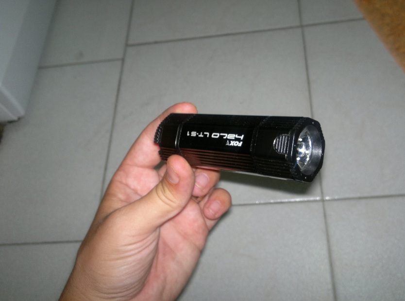 Lanterna fox 3.jpg