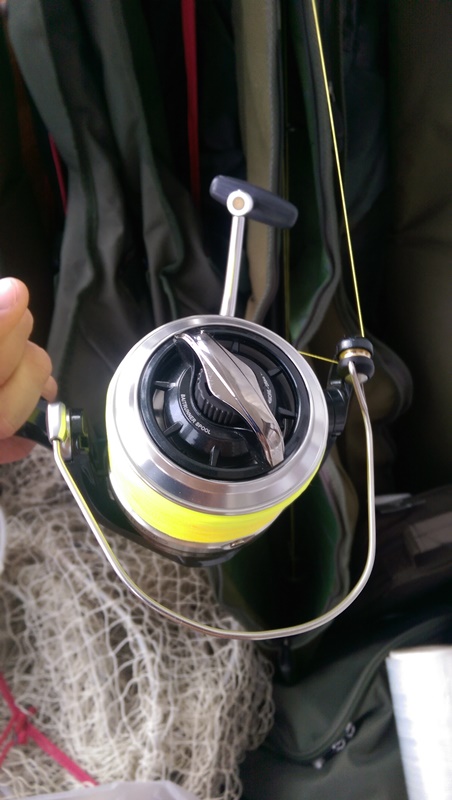IMAG0278.jpg