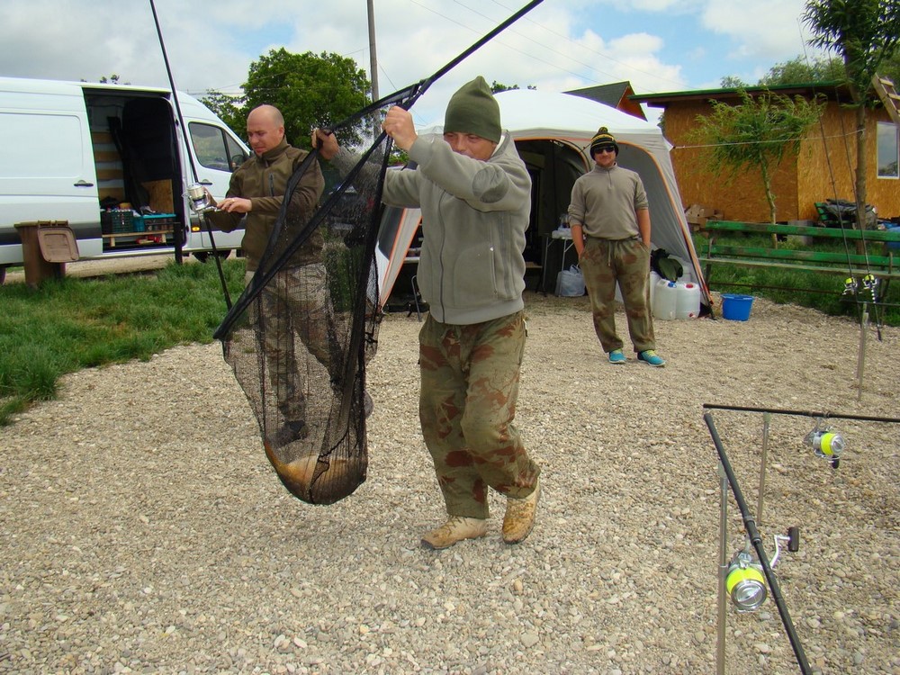 DSC01951 (Copy).JPG