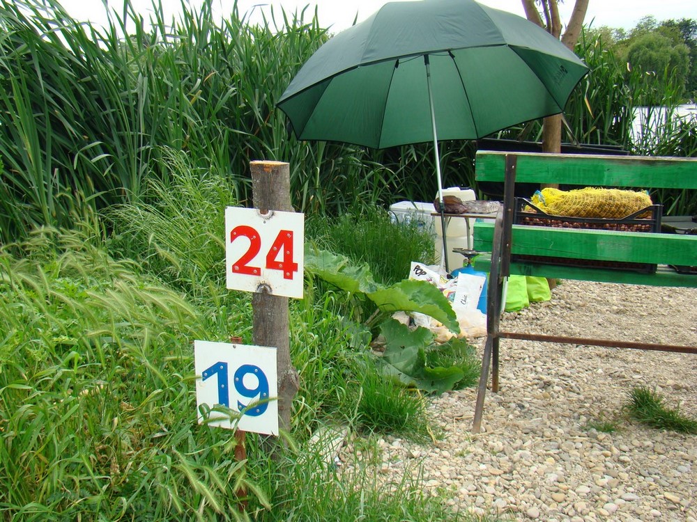 DSC01970 (Copy).JPG
