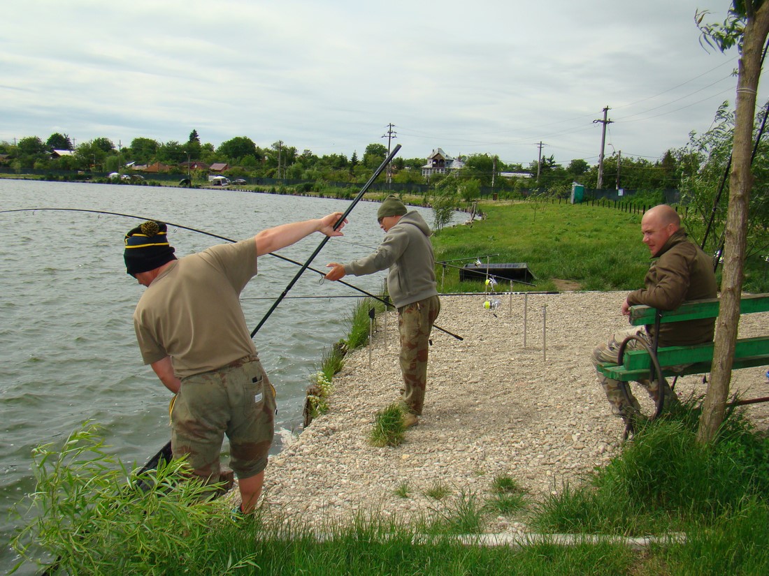 DSC01963 (Copy).JPG