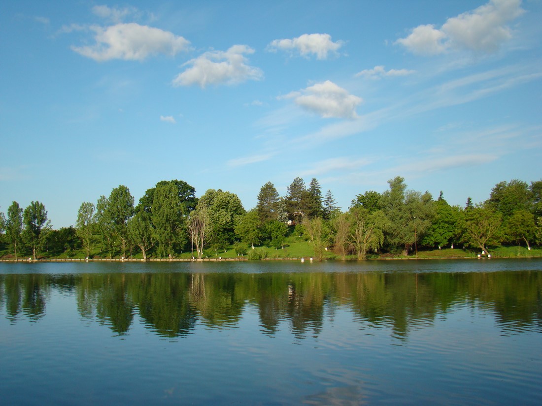 DSC02403 (Copy).JPG