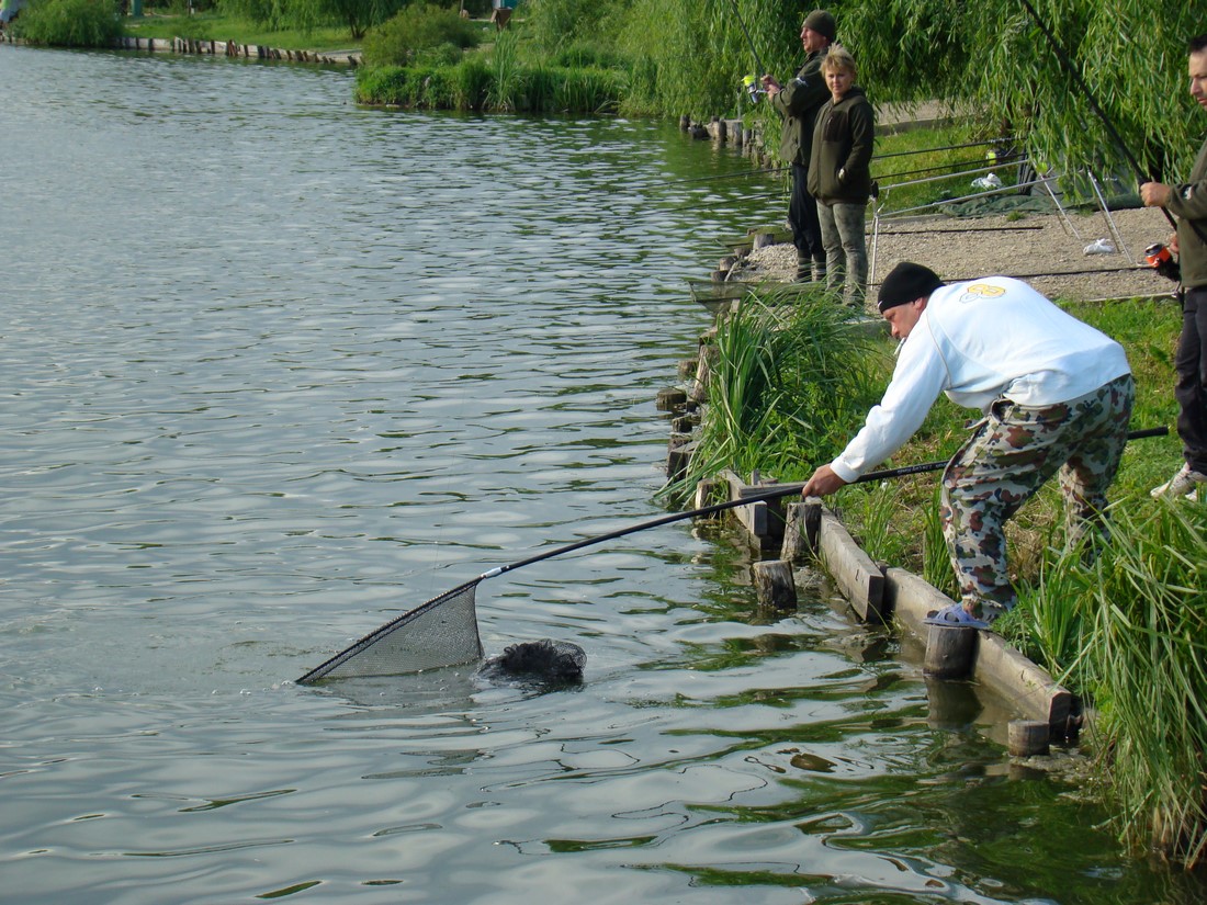 DSC02602 (Copy).JPG