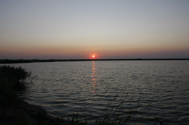 _MG_5739_resize.JPG
