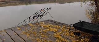 1. Solar rod pod.jpg