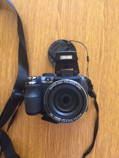 Fuji 2.JPG