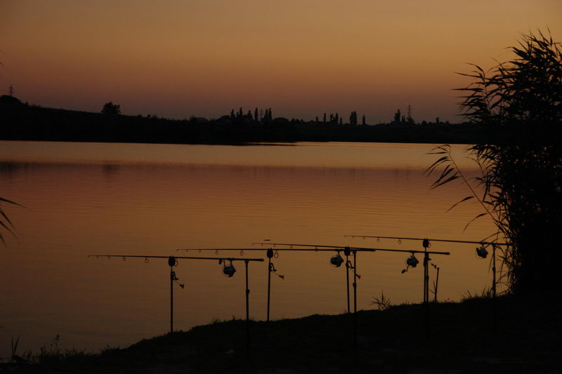 DSC06779.JPG