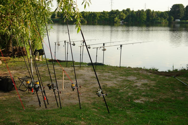 DSC06675.JPG