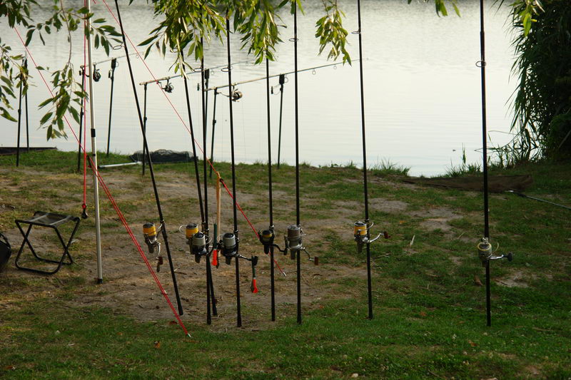 DSC06674.JPG