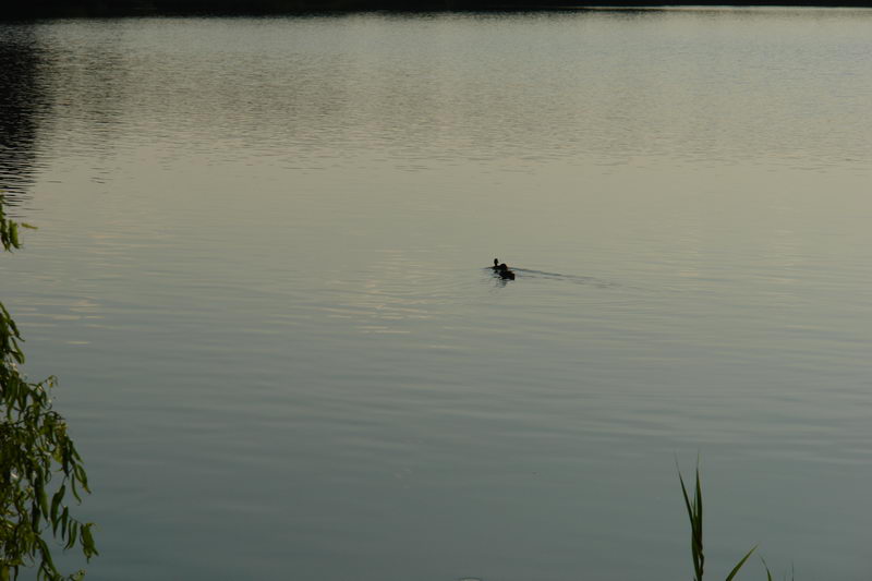 DSC06667.JPG