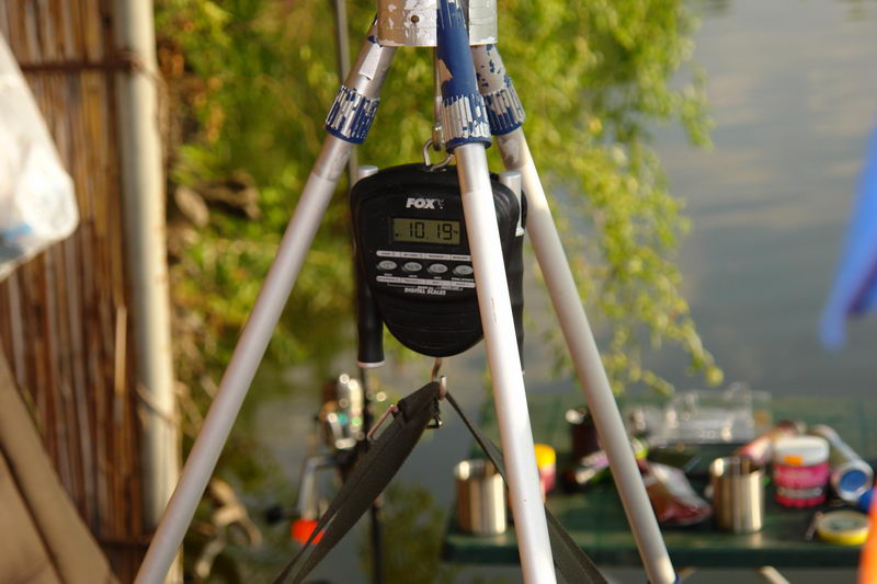 DSC06663.JPG