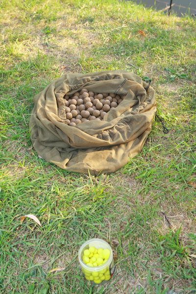 A36K1257.JPG