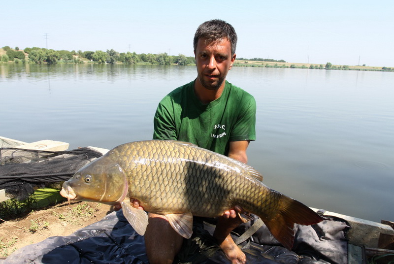 RCA-Meetcarp_Sorin Rudeanu_3.jpg