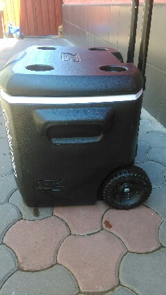 IMAG0088-240x426.jpg