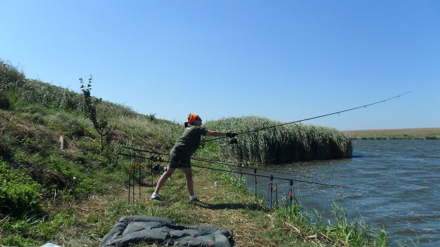 SAM_0074.JPG