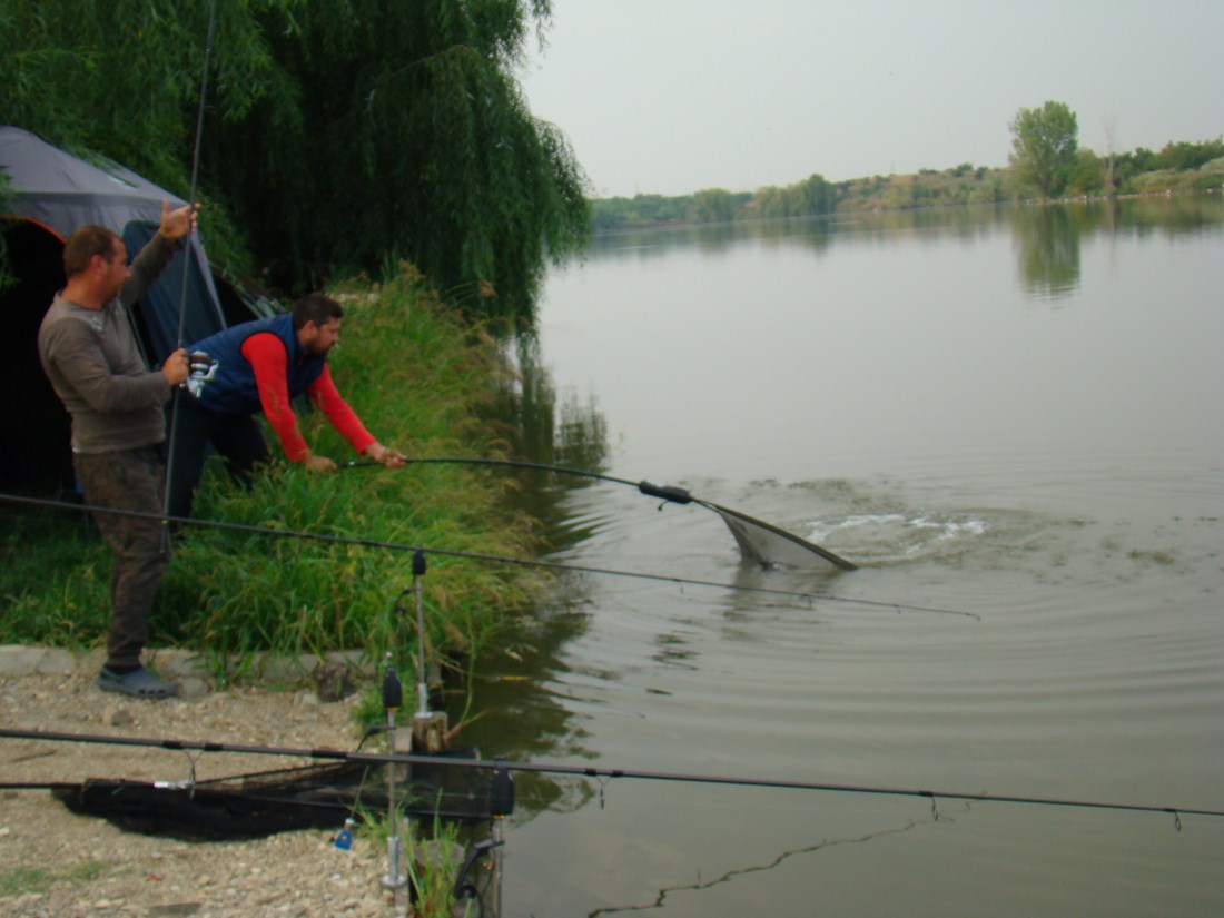 DSC03308 (Copy).JPG