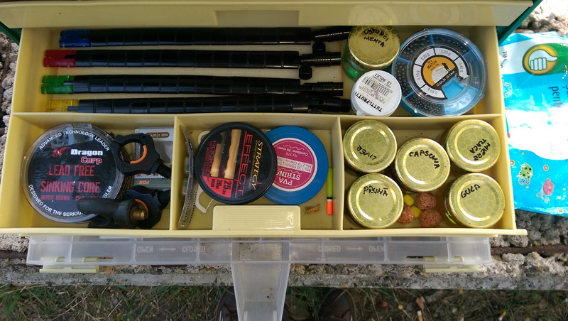 IMAG0888.jpg