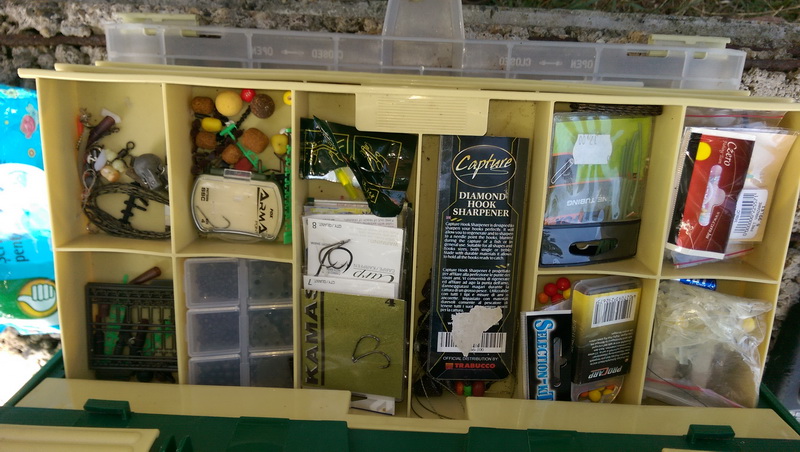 IMAG0889.jpg