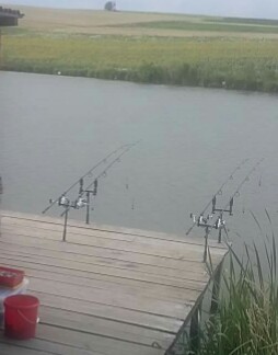 IMG_20160910_080716.jpg