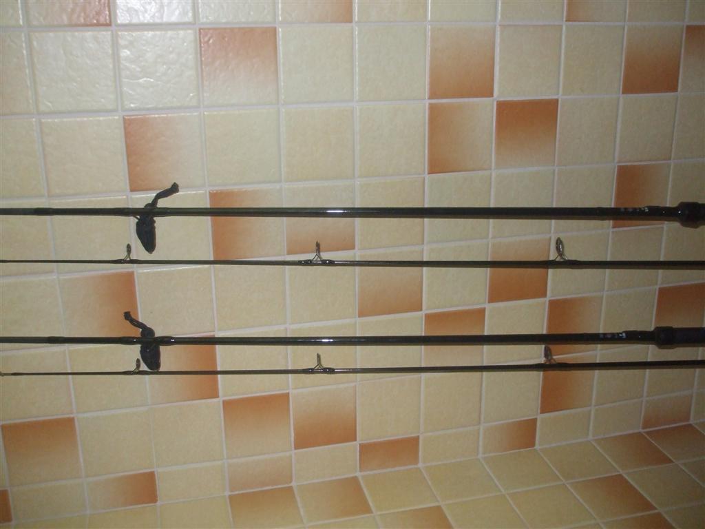 DSCF2460 (Large).jpg