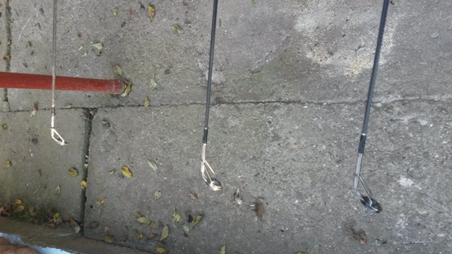 20160914_174529.jpg