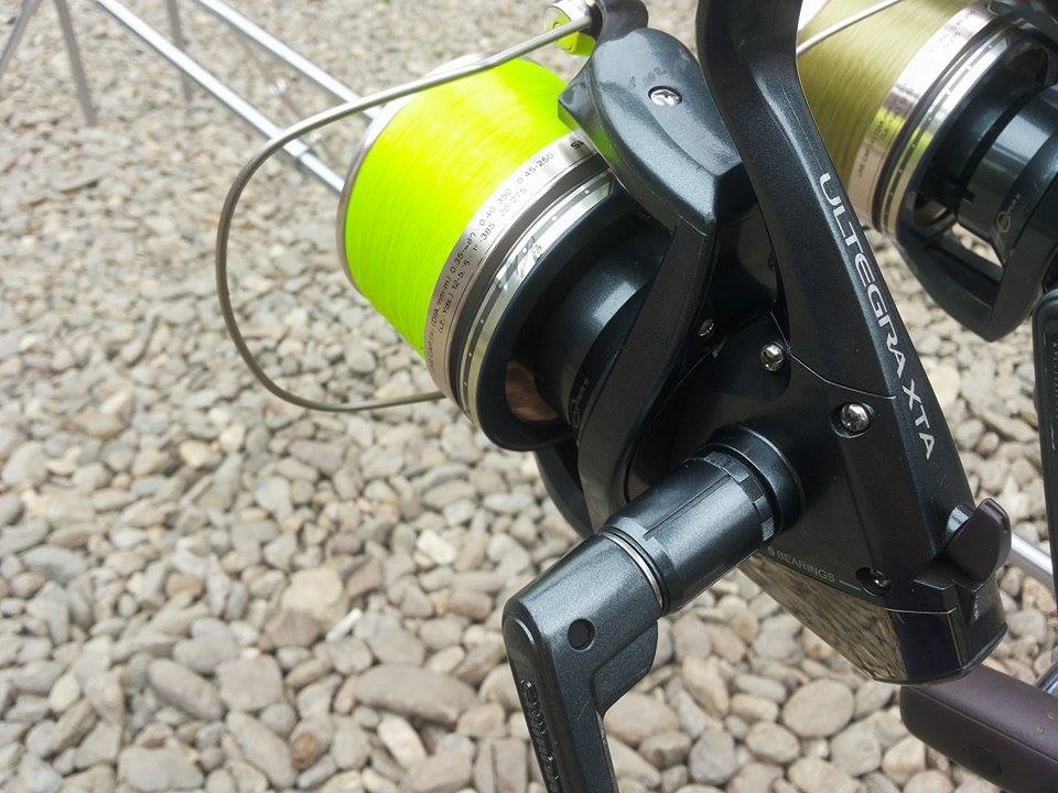 12516300_979985038747664_1006256496_n - copia.jpg