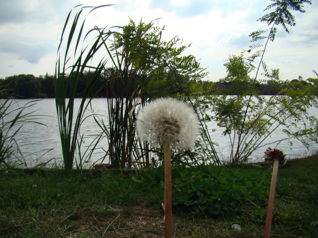 DSC03749 (Copy).JPG