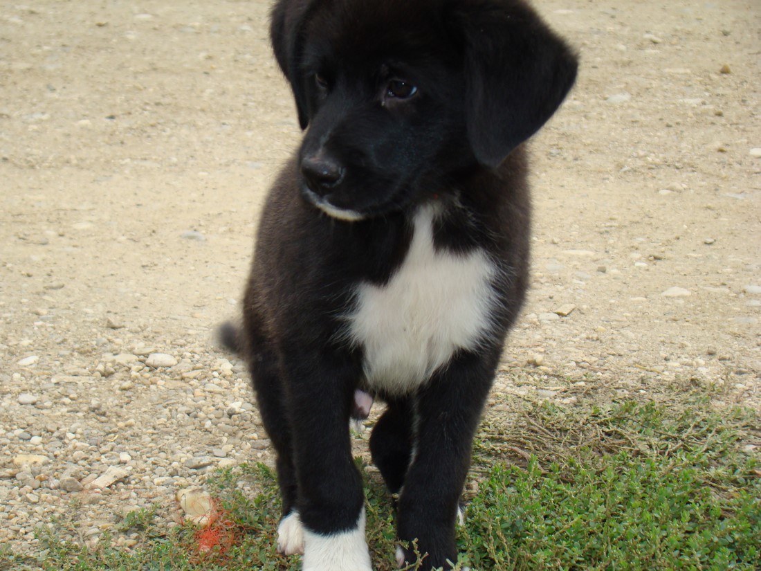 DSC03783 (Copy).JPG