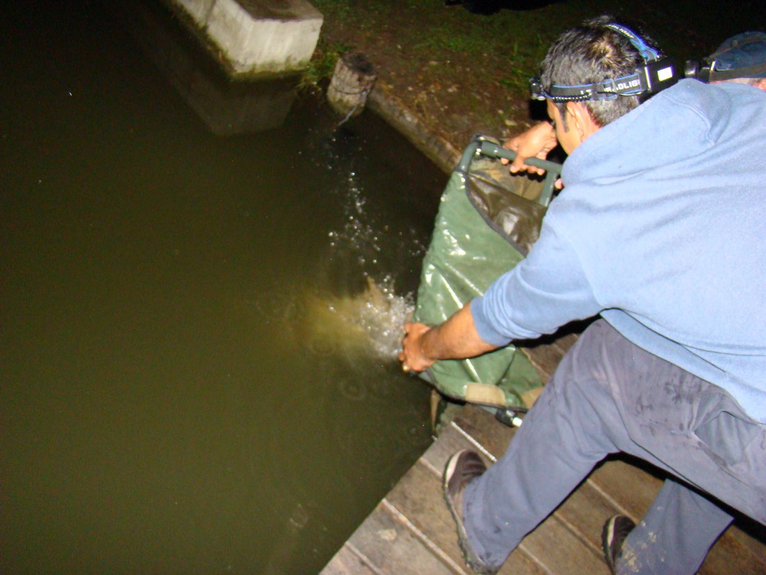 DSC03821 (Copy).JPG