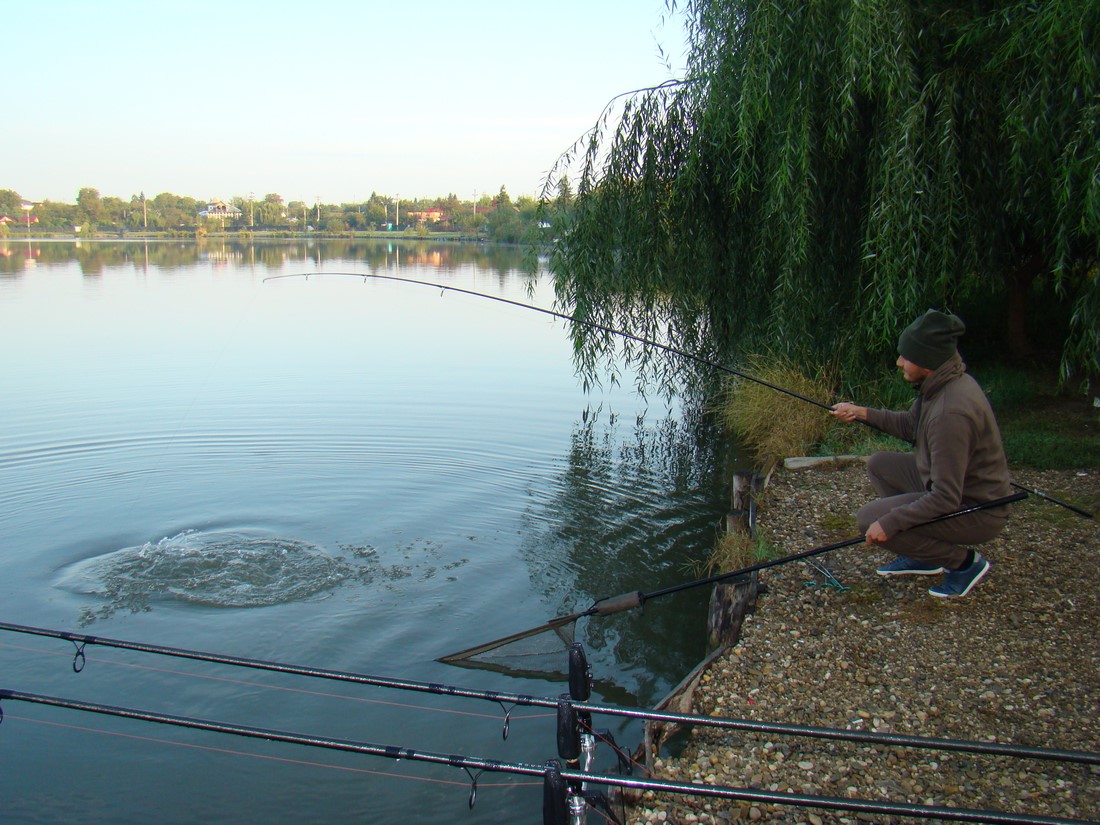 DSC03885 (Copy).JPG