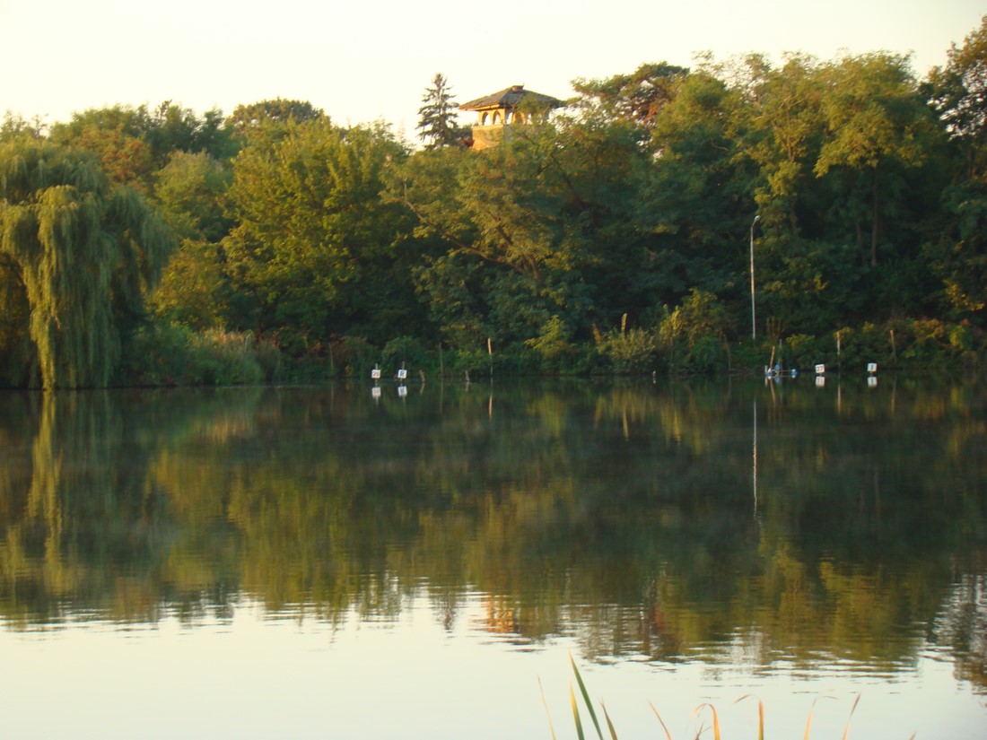 DSC04050 (Copy).JPG