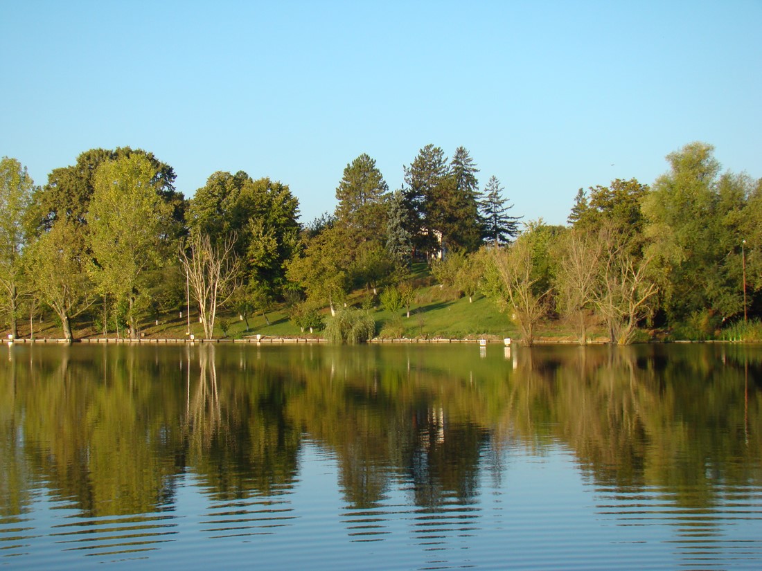 DSC04070 (Copy).JPG