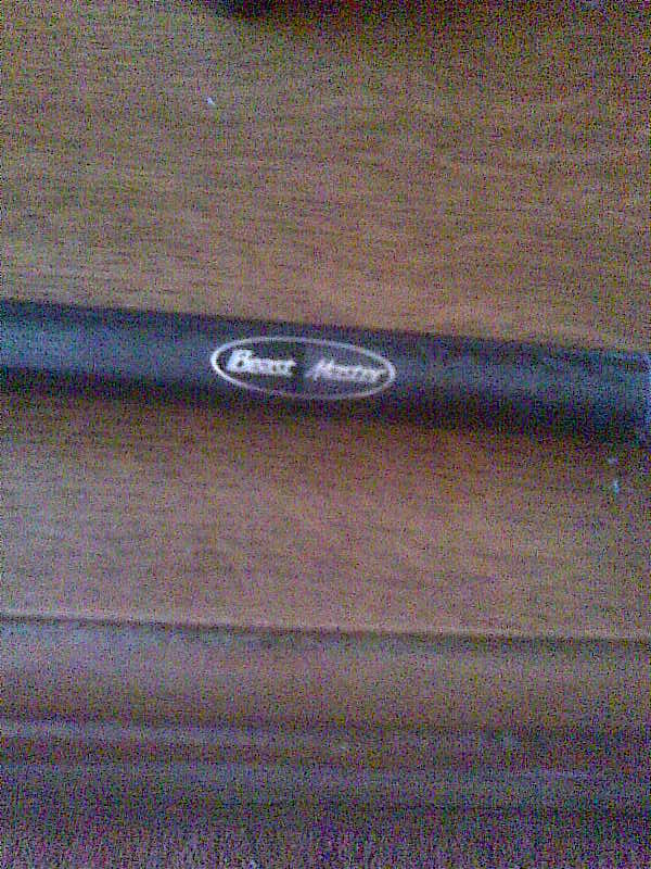 Picturemai 2011 295.jpg