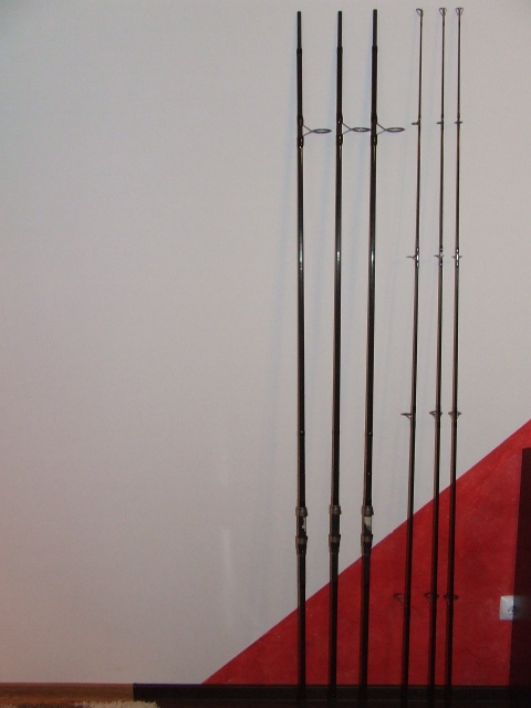 DSCF8503.JPG