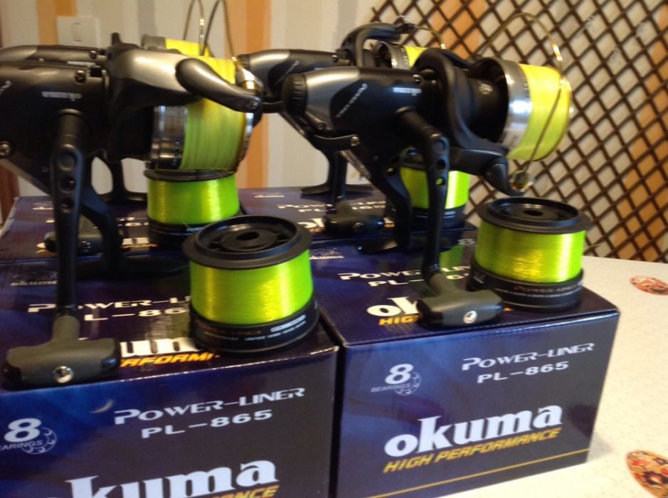 124227836_7_1000x700_vand-mulinete-okuma-pl-865-.jpg