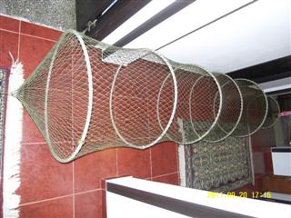 SDC12325 (Mobile).JPG
