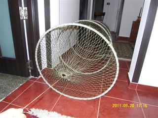 SDC12326 (Mobile).JPG