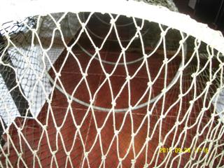 SDC12327 (Mobile).JPG