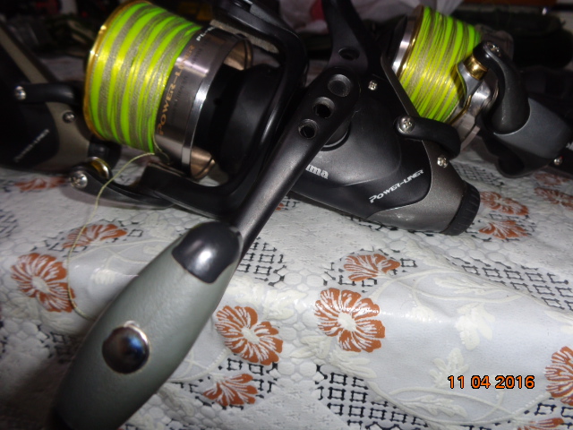 DSC04011.JPG
