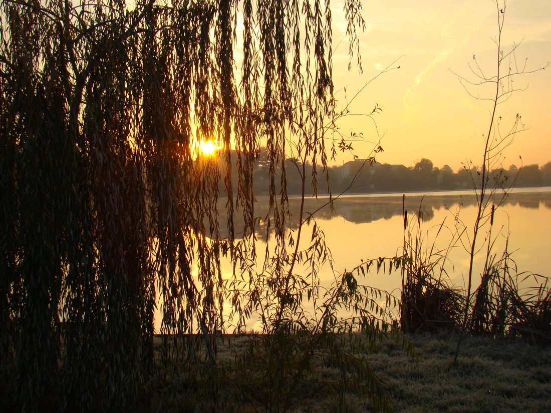 DSC04461 (Copy).JPG