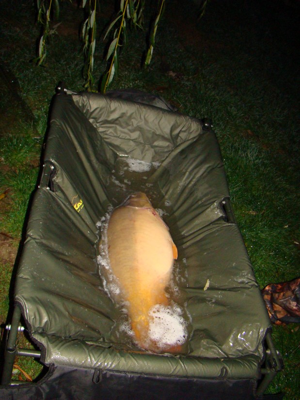 DSC04657 (Copy).JPG
