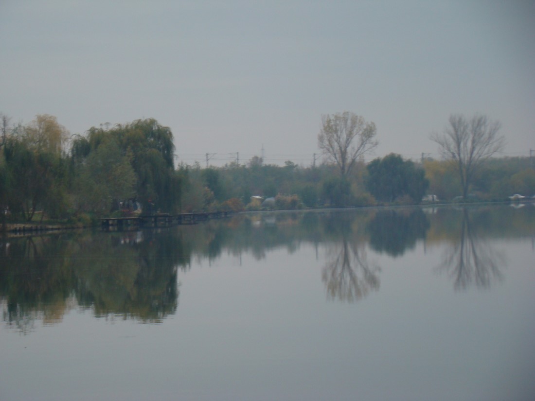 DSC04669 (Copy).JPG