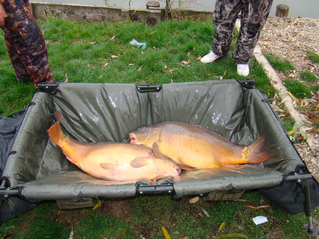 DSC04682 (Copy).JPG