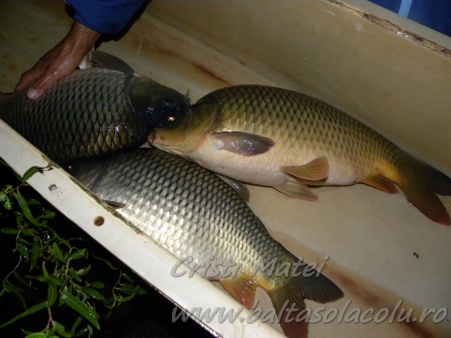 DSCN7527.jpg